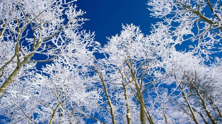 Piękno przyrody zimą - Piękno przyrody zimą 12.jpg