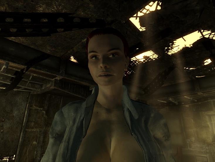 Fallout 3 - ScreenShot132.jpg