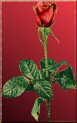 Róże pozłacane - 2.gif