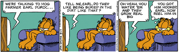 Garfield - Garfield 16.GIF