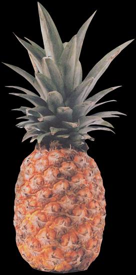 Fruits  Vegetables - ananas-01.png