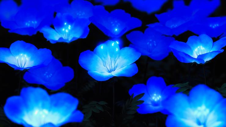 TAPETY - glowing_blue_flowers_4k_8k-5120x2880.jpg